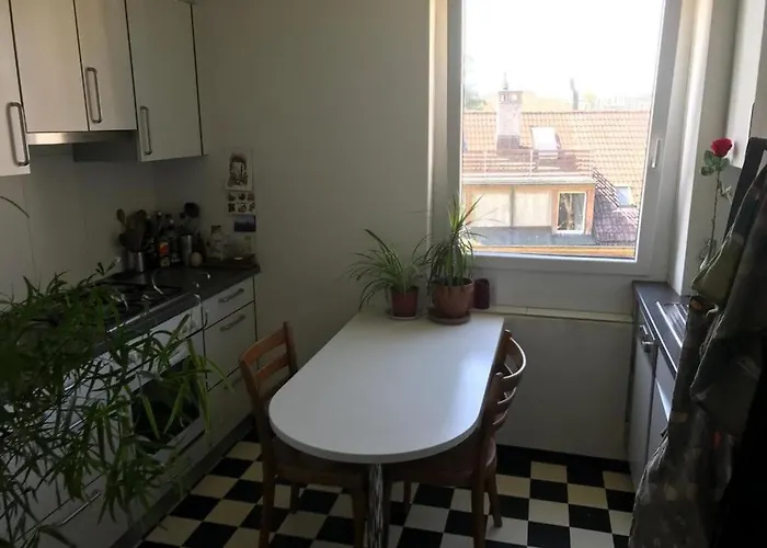 Simple Flat Apartament St. Gallen