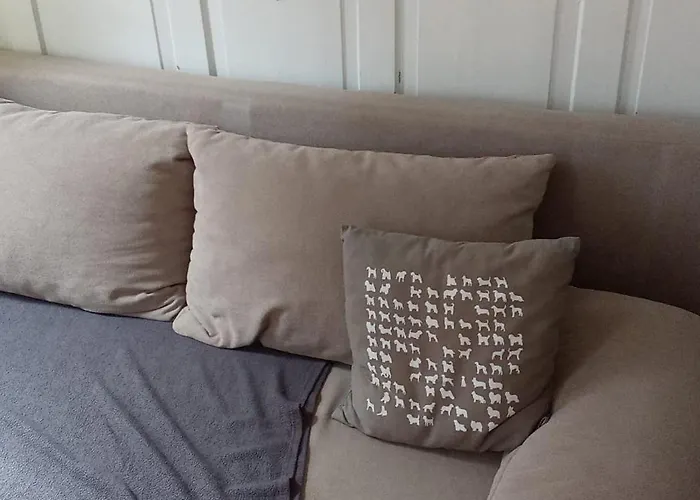 Simple Flat Apartament