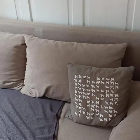 Simple Flat Apartment